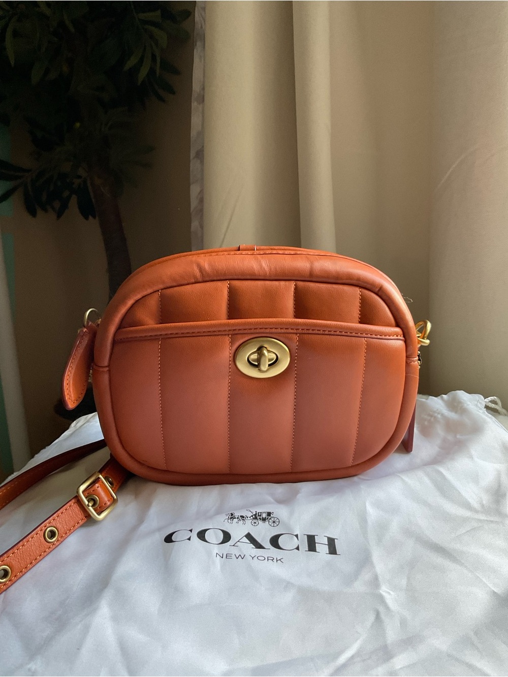 Coach Quilted Crossbody Bag in Burnt Orange 🎃
